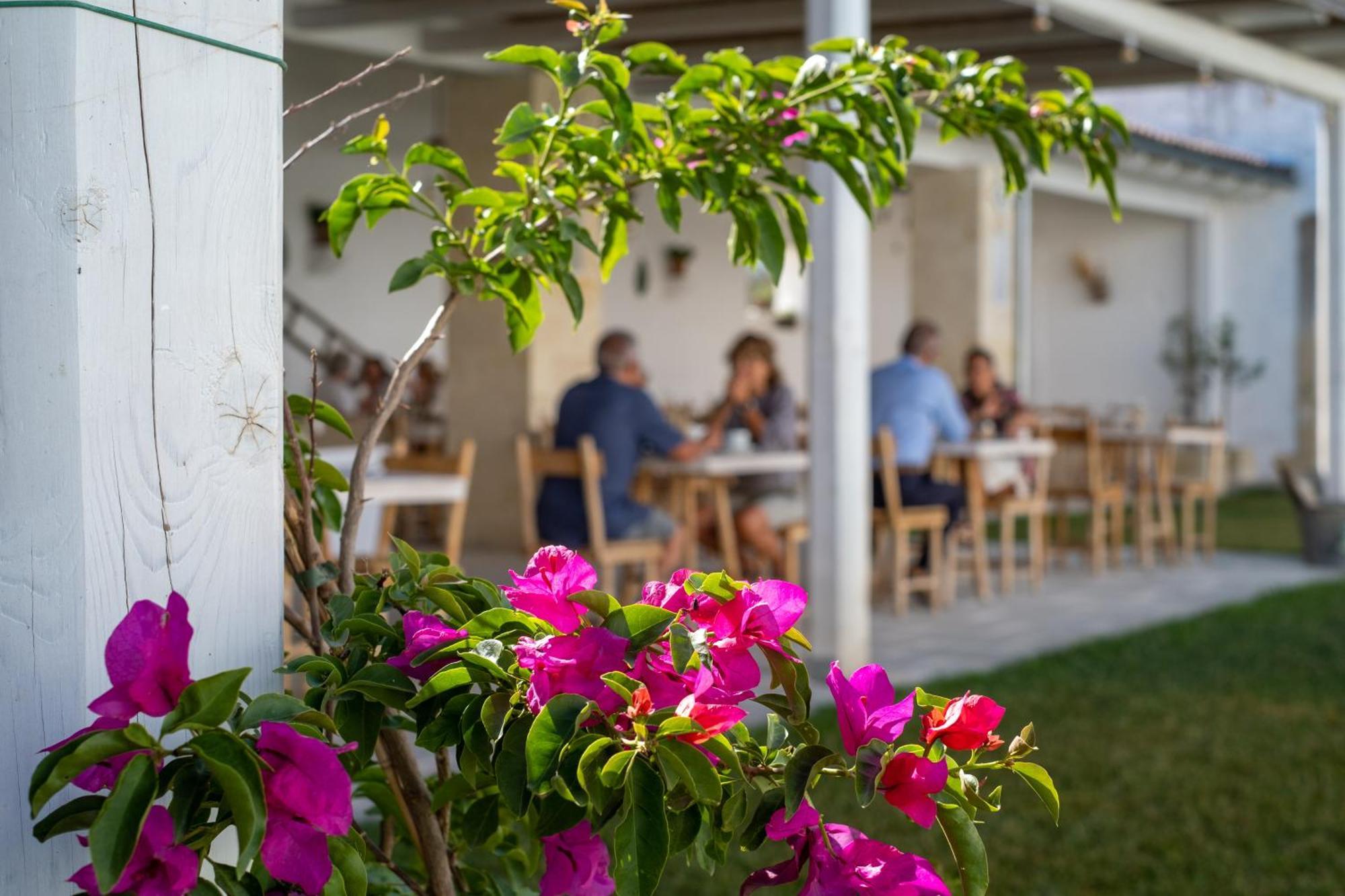 Masseria Rauccio Торе дел'Орсо Екстериор снимка